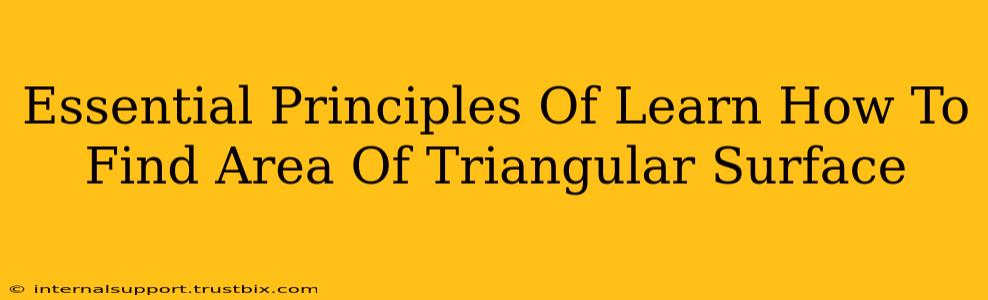 Essential Principles Of Learn How To Find Area Of Triangular Surface