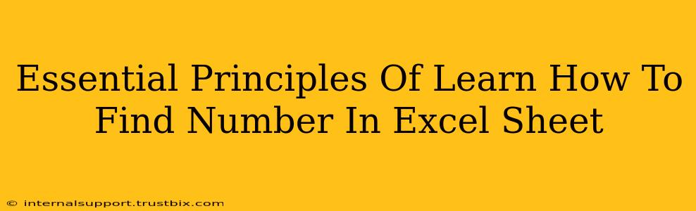 Essential Principles Of Learn How To Find Number In Excel Sheet