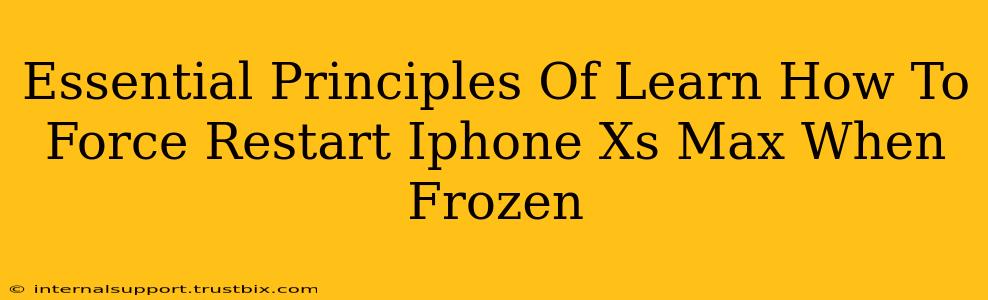 Essential Principles Of Learn How To Force Restart Iphone Xs Max When Frozen