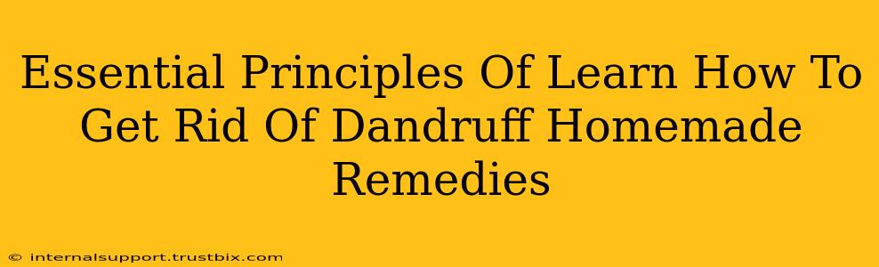 Essential Principles Of Learn How To Get Rid Of Dandruff Homemade Remedies