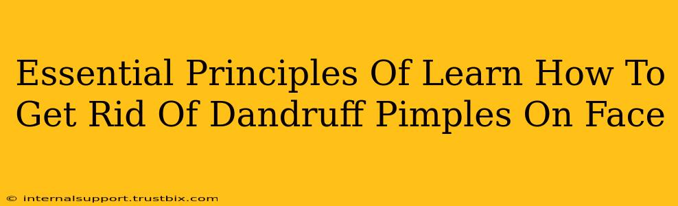 Essential Principles Of Learn How To Get Rid Of Dandruff Pimples On Face