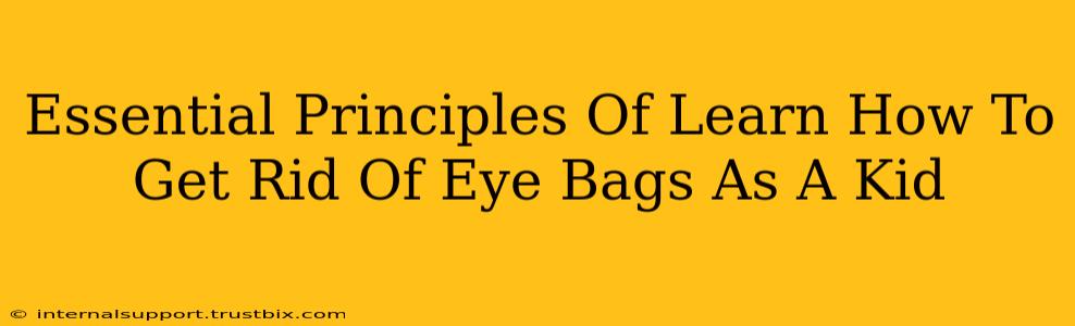 Essential Principles Of Learn How To Get Rid Of Eye Bags As A Kid