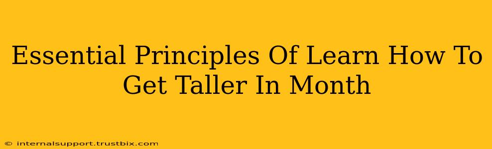 Essential Principles Of Learn How To Get Taller In Month