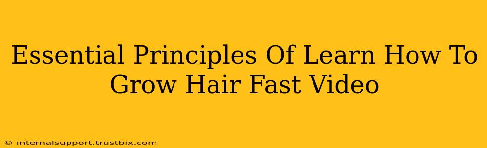 Essential Principles Of Learn How To Grow Hair Fast Video