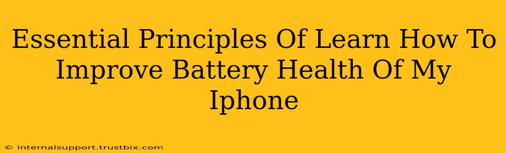 Essential Principles Of Learn How To Improve Battery Health Of My Iphone