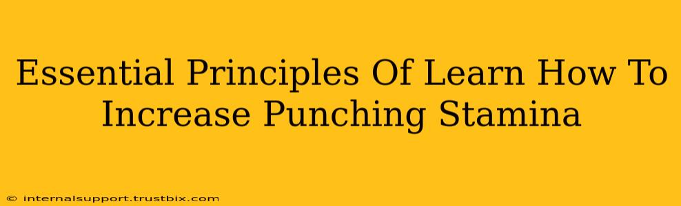 Essential Principles Of Learn How To Increase Punching Stamina