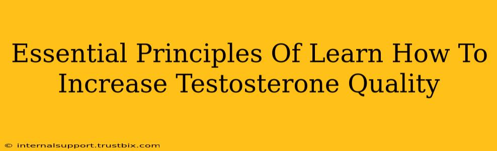 Essential Principles Of Learn How To Increase Testosterone Quality