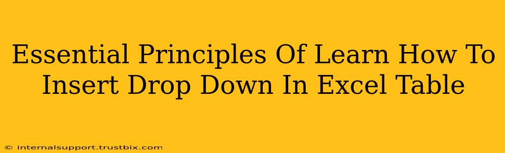 Essential Principles Of Learn How To Insert Drop Down In Excel Table