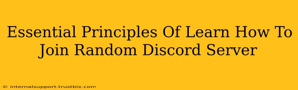 Essential Principles Of Learn How To Join Random Discord Server