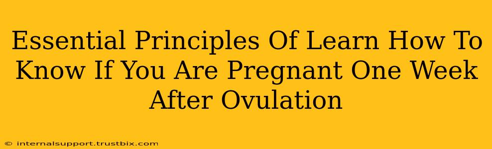 Essential Principles Of Learn How To Know If You Are Pregnant One Week After Ovulation