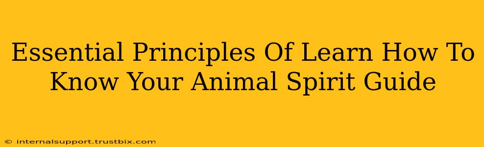 Essential Principles Of Learn How To Know Your Animal Spirit Guide