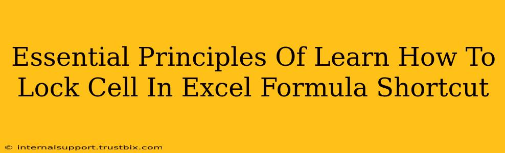 Essential Principles Of Learn How To Lock Cell In Excel Formula Shortcut