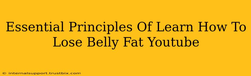 Essential Principles Of Learn How To Lose Belly Fat Youtube