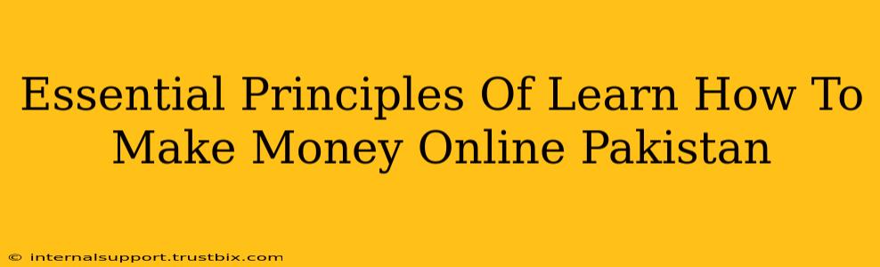 Essential Principles Of Learn How To Make Money Online Pakistan