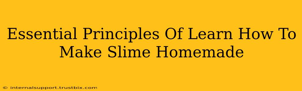 Essential Principles Of Learn How To Make Slime Homemade