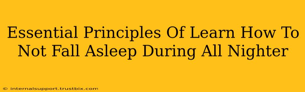 Essential Principles Of Learn How To Not Fall Asleep During All Nighter