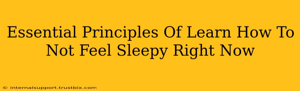 Essential Principles Of Learn How To Not Feel Sleepy Right Now