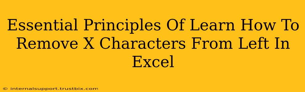 Essential Principles Of Learn How To Remove X Characters From Left In Excel