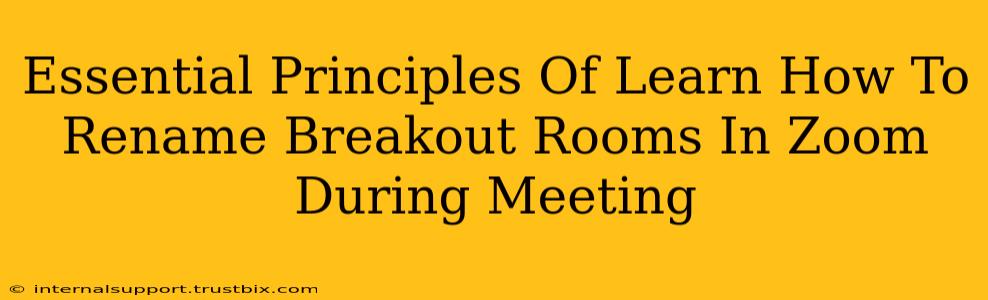 Essential Principles Of Learn How To Rename Breakout Rooms In Zoom During Meeting