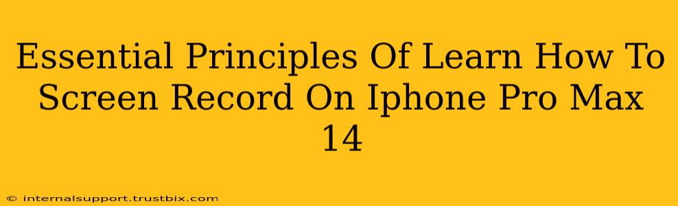 Essential Principles Of Learn How To Screen Record On Iphone Pro Max 14