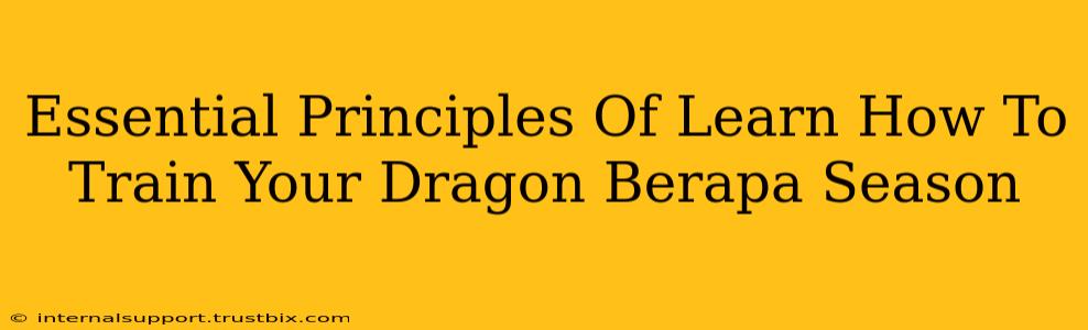 Essential Principles Of Learn How To Train Your Dragon Berapa Season