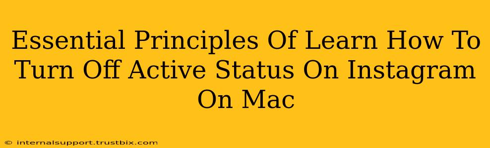 Essential Principles Of Learn How To Turn Off Active Status On Instagram On Mac