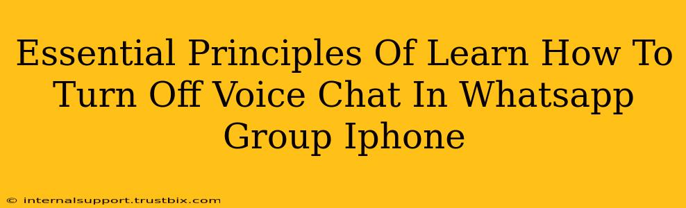 Essential Principles Of Learn How To Turn Off Voice Chat In Whatsapp Group Iphone