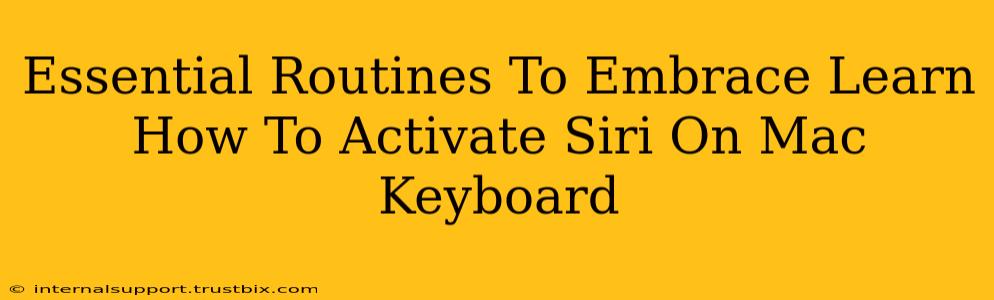 Essential Routines To Embrace Learn How To Activate Siri On Mac Keyboard