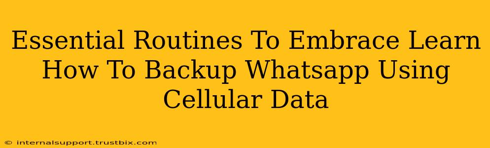 Essential Routines To Embrace Learn How To Backup Whatsapp Using Cellular Data