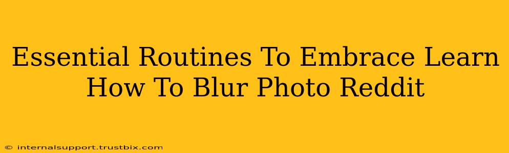 Essential Routines To Embrace Learn How To Blur Photo Reddit