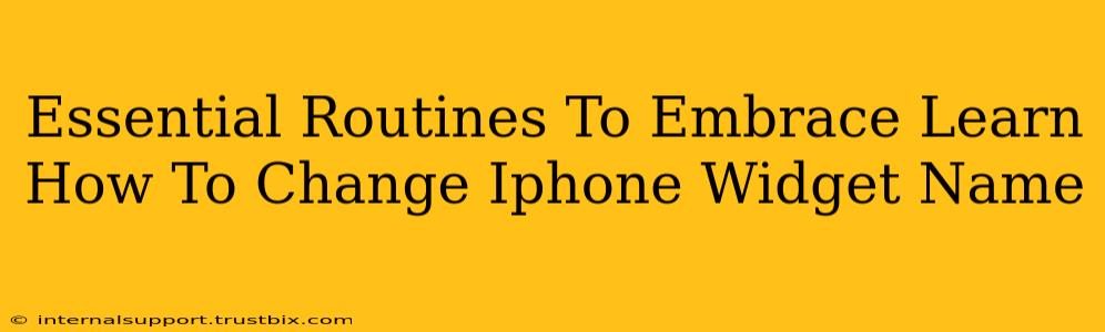 Essential Routines To Embrace Learn How To Change Iphone Widget Name