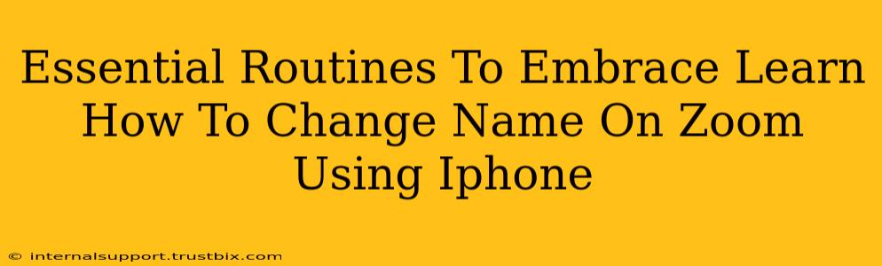 Essential Routines To Embrace Learn How To Change Name On Zoom Using Iphone