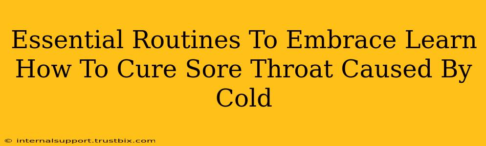 Essential Routines To Embrace Learn How To Cure Sore Throat Caused By Cold