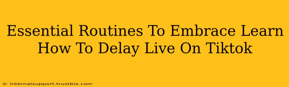 Essential Routines To Embrace Learn How To Delay Live On Tiktok