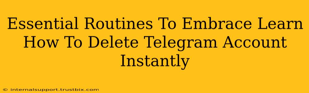 Essential Routines To Embrace Learn How To Delete Telegram Account Instantly