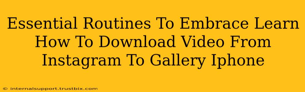 Essential Routines To Embrace Learn How To Download Video From Instagram To Gallery Iphone