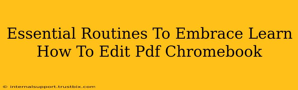 Essential Routines To Embrace Learn How To Edit Pdf Chromebook