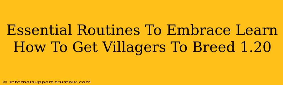 Essential Routines To Embrace Learn How To Get Villagers To Breed 1.20