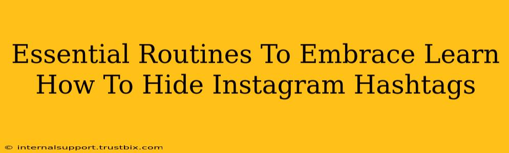 Essential Routines To Embrace Learn How To Hide Instagram Hashtags