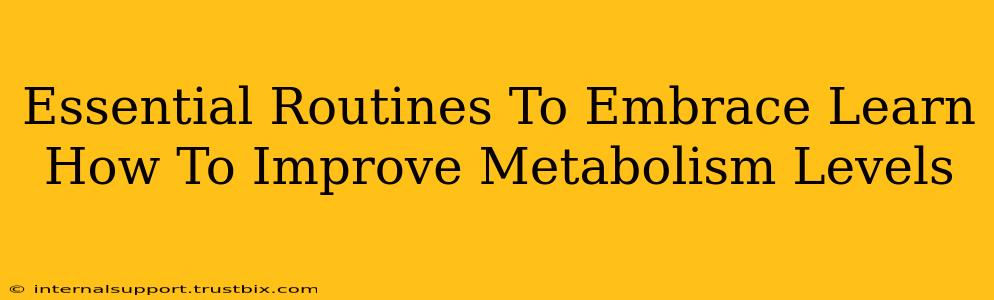 Essential Routines To Embrace Learn How To Improve Metabolism Levels