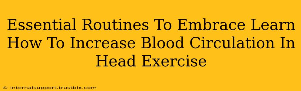 Essential Routines To Embrace Learn How To Increase Blood Circulation In Head Exercise