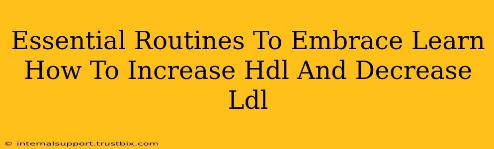 Essential Routines To Embrace Learn How To Increase Hdl And Decrease Ldl