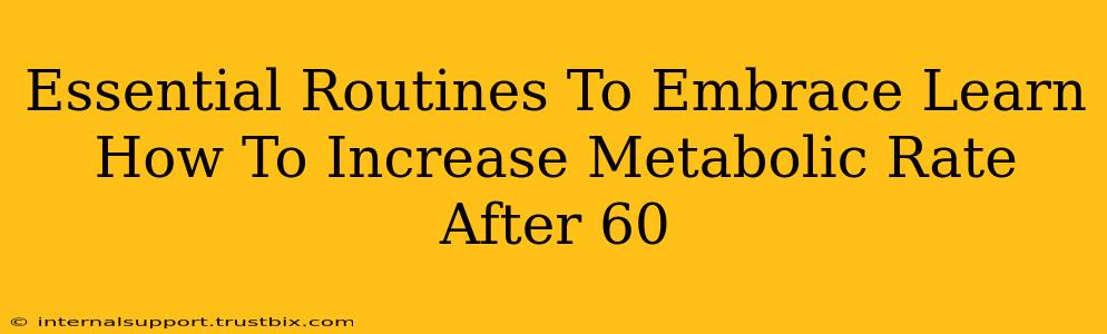 Essential Routines To Embrace Learn How To Increase Metabolic Rate After 60