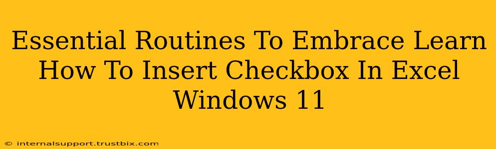 Essential Routines To Embrace Learn How To Insert Checkbox In Excel Windows 11