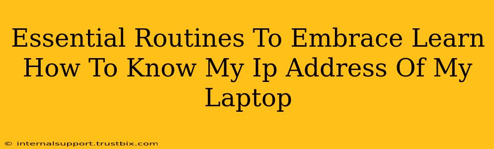 Essential Routines To Embrace Learn How To Know My Ip Address Of My Laptop