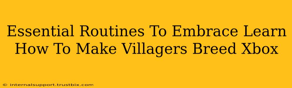 Essential Routines To Embrace Learn How To Make Villagers Breed Xbox