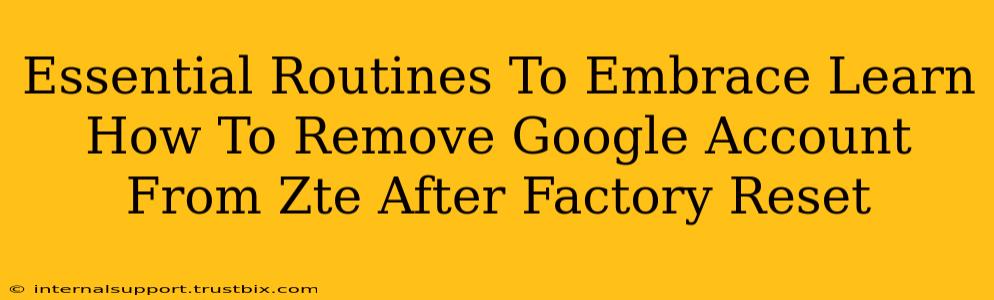 Essential Routines To Embrace Learn How To Remove Google Account From Zte After Factory Reset