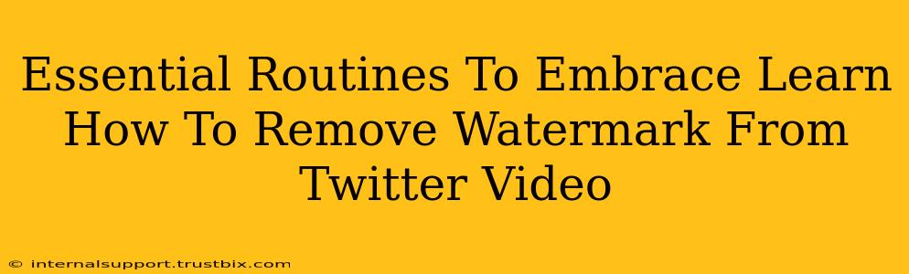 Essential Routines To Embrace Learn How To Remove Watermark From Twitter Video