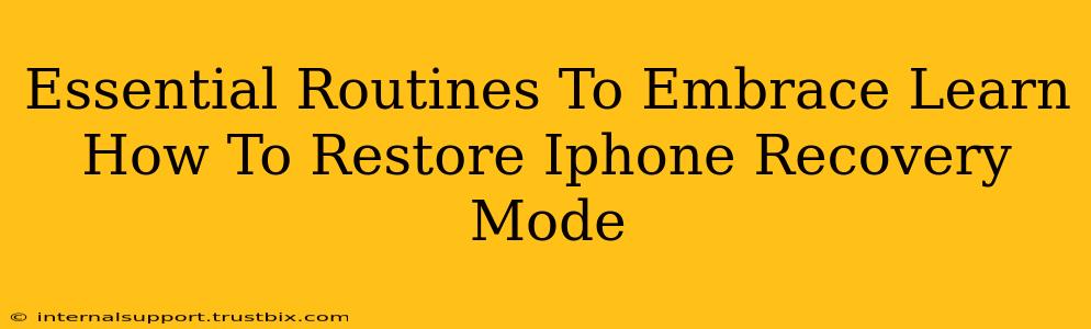 Essential Routines To Embrace Learn How To Restore Iphone Recovery Mode