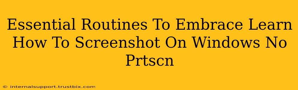 Essential Routines To Embrace Learn How To Screenshot On Windows No Prtscn